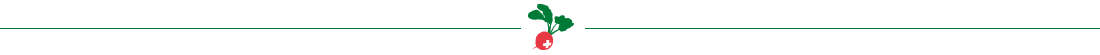 Icon_Trenner