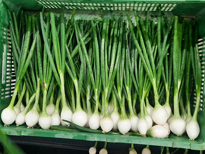 swissradies_produktion_bundzwiebeln_002.png