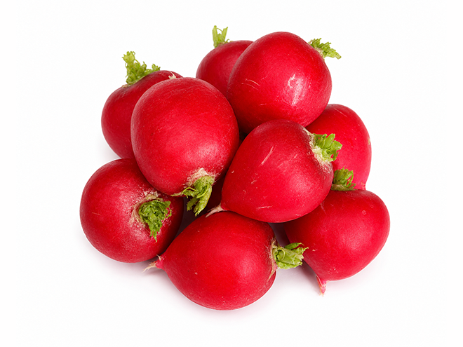 swissradies_produktion_radiesschen_4.png